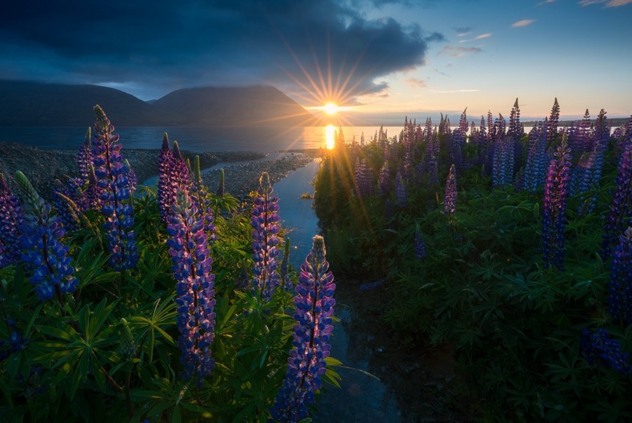 William Patino - Focus Stacking Masterclass