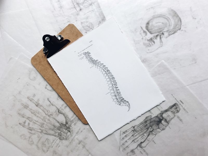 clipboard with drawing of curved spine