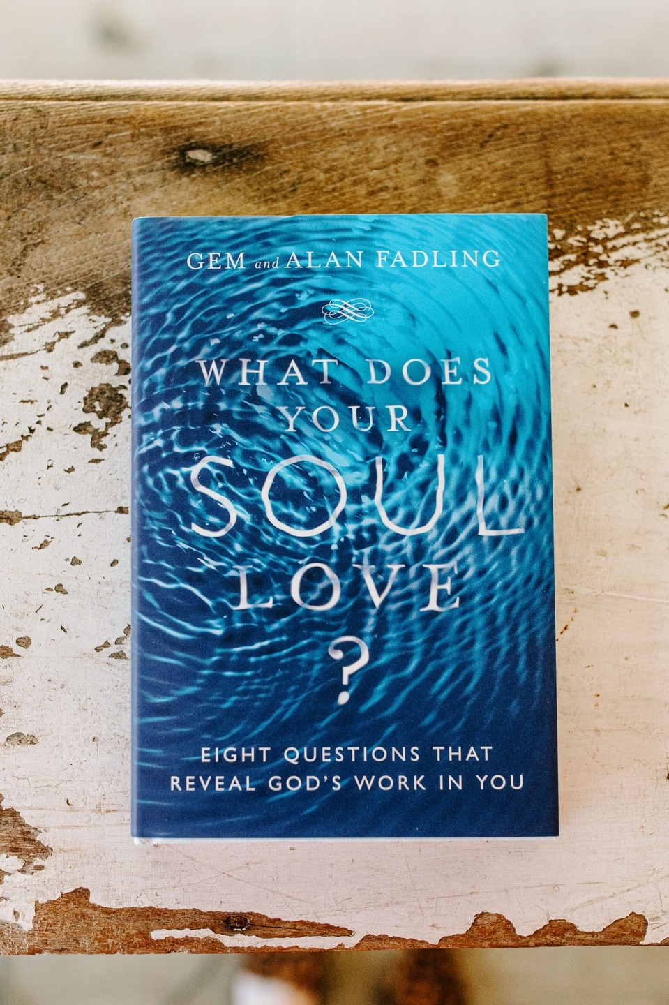 what does your soul love? book