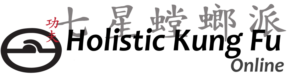 Footer Logo