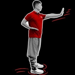 Shaolin Kung Fu Hand Forms