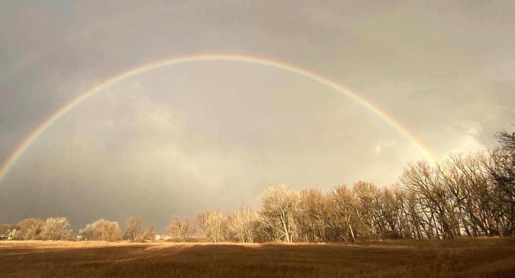 Rainbow Socks: a 501(c)(3) nonprofit