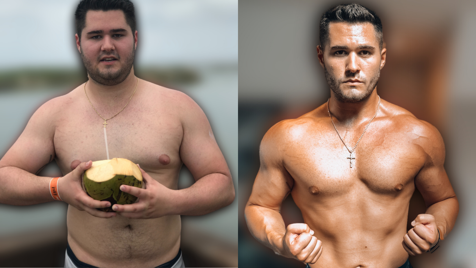The Fat To Fit Blueprint
