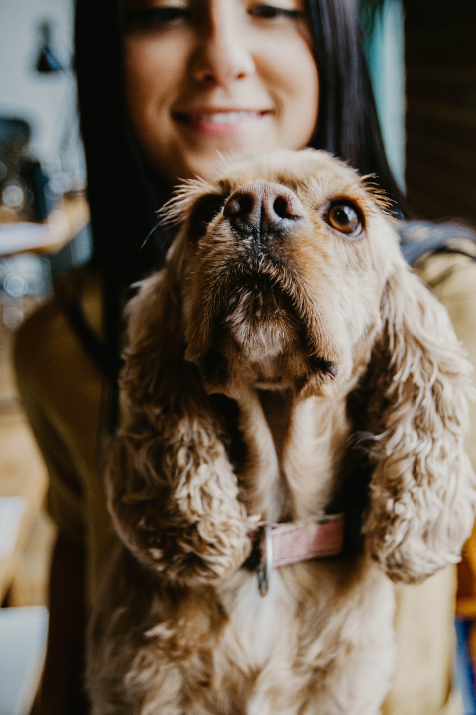 woman with cocker spaniel