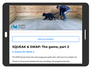 puppy games | learning games for puppies