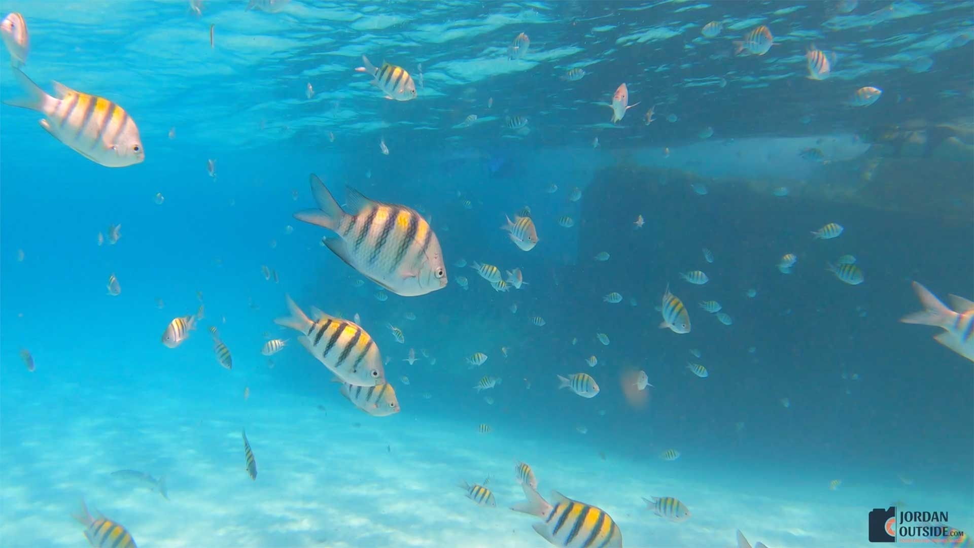 Snorkeling up to the shipwreck in Cancun