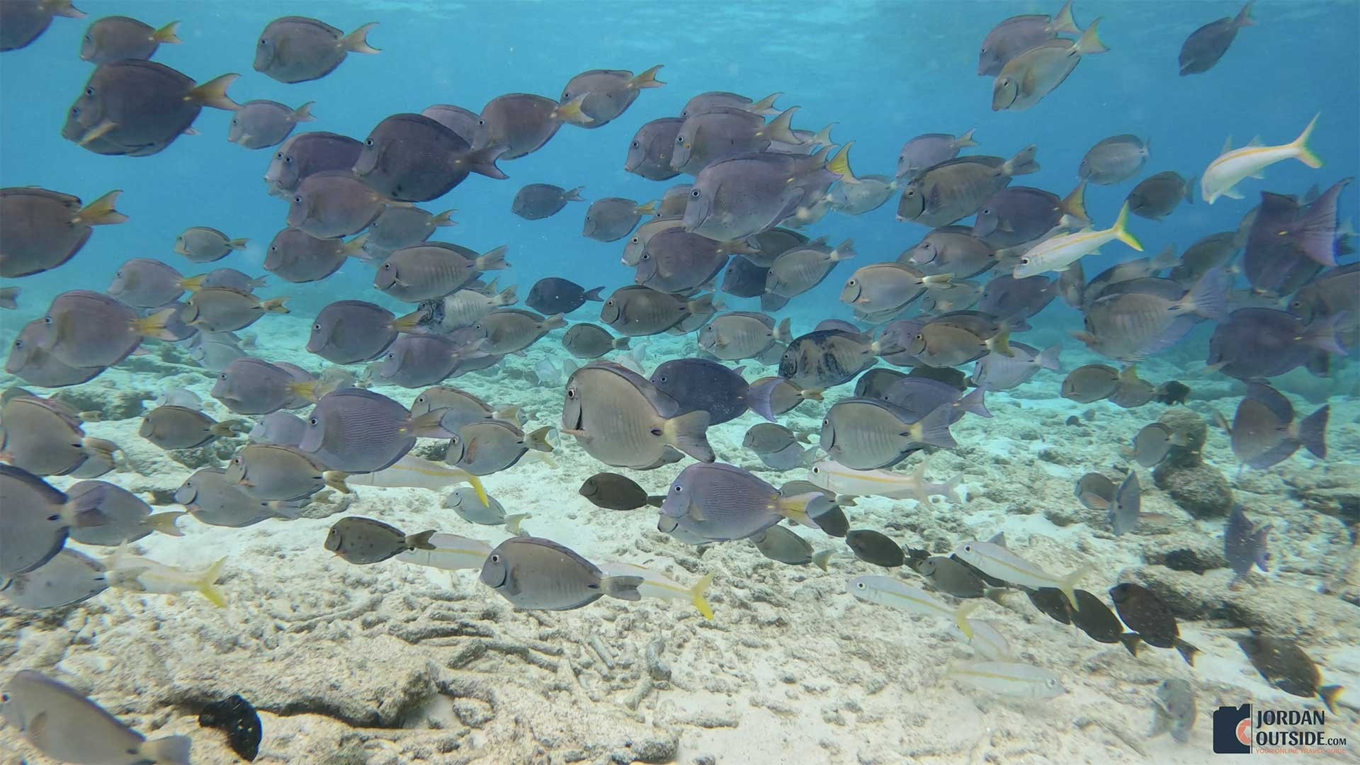 Playa Largu, Curacao