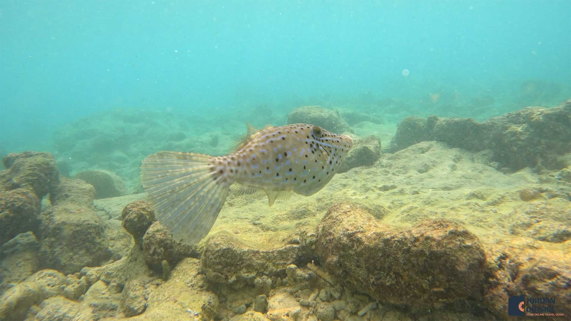 Playa Kalki, Curacao