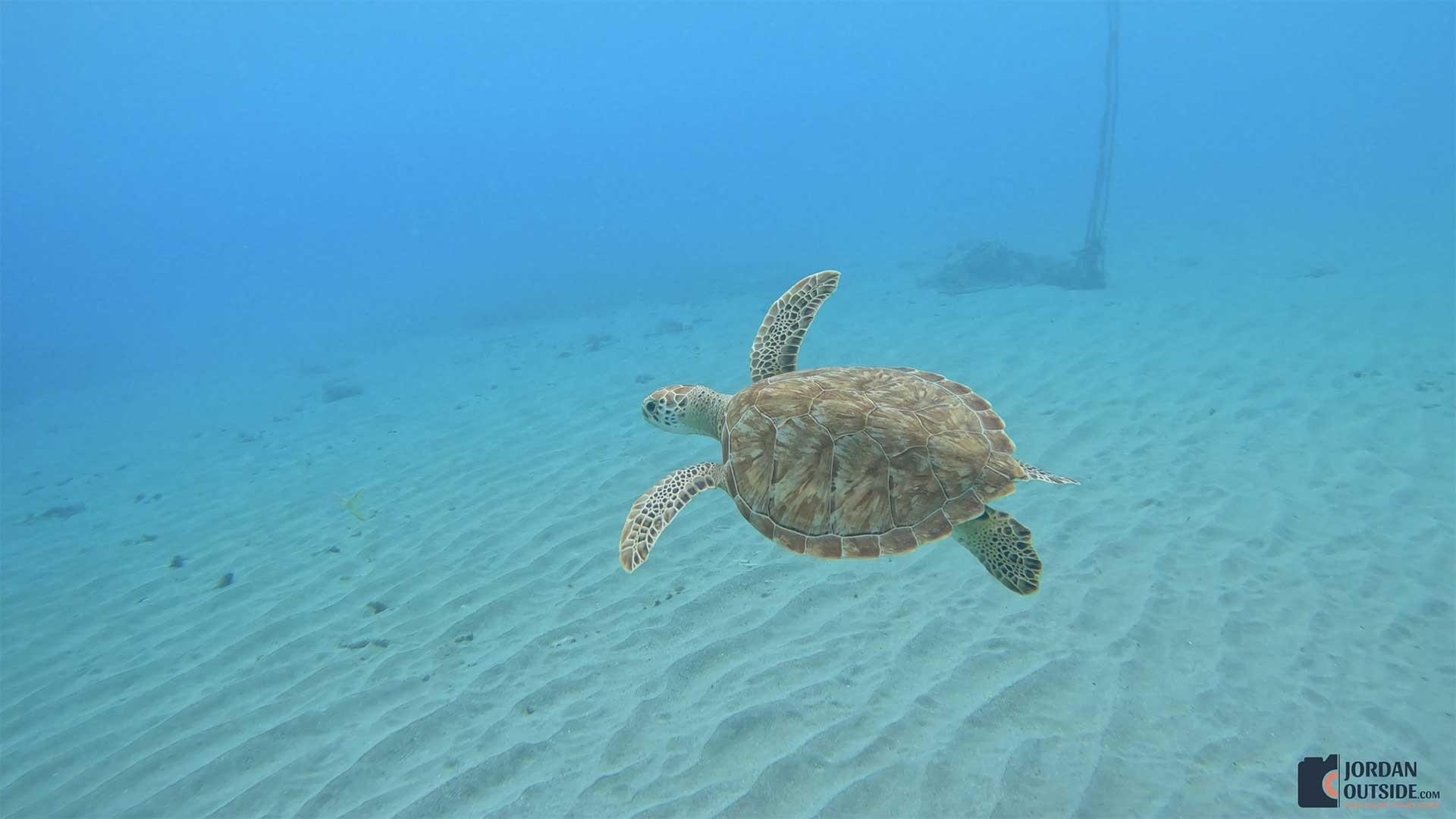 Playa Piskado, Curacao