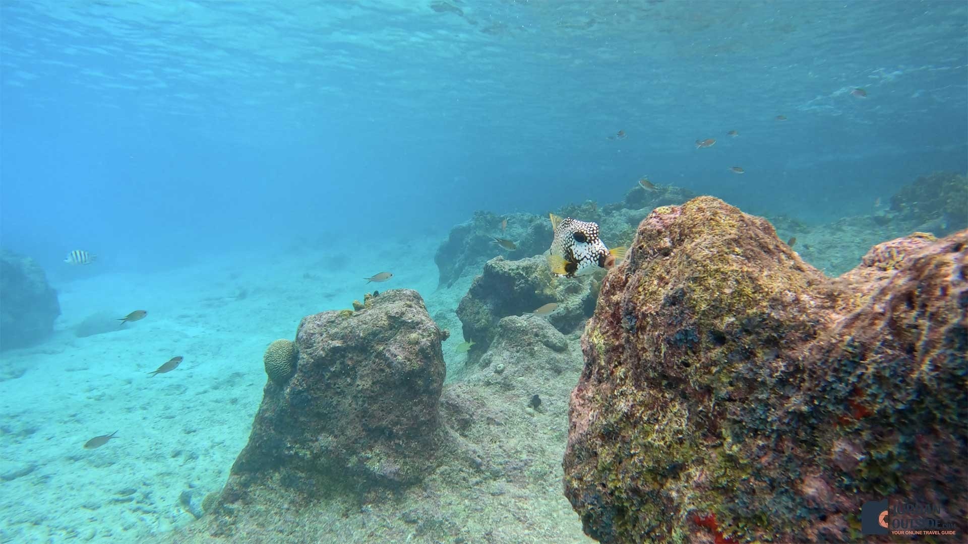 Grote Knip Beach, Curacao