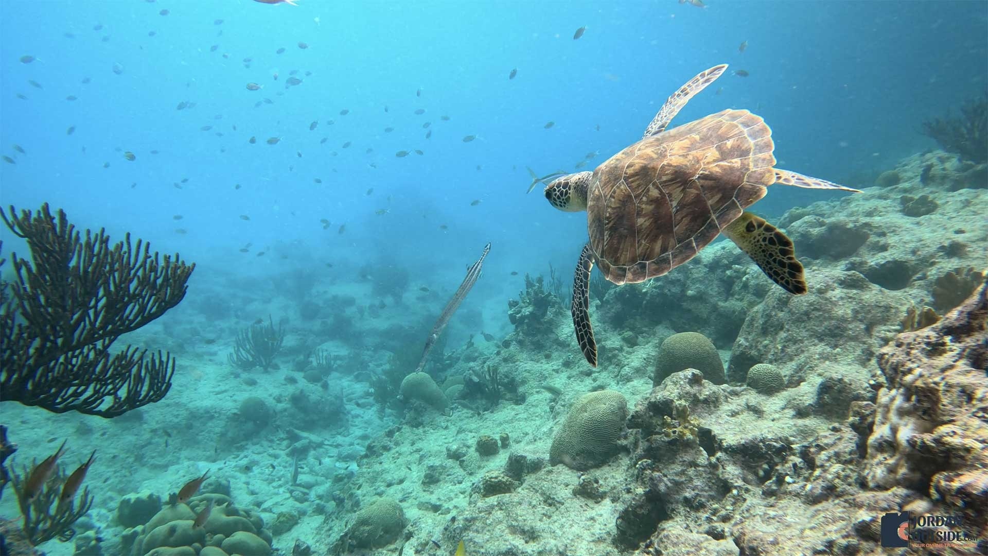 Playa Lagun, Curacao