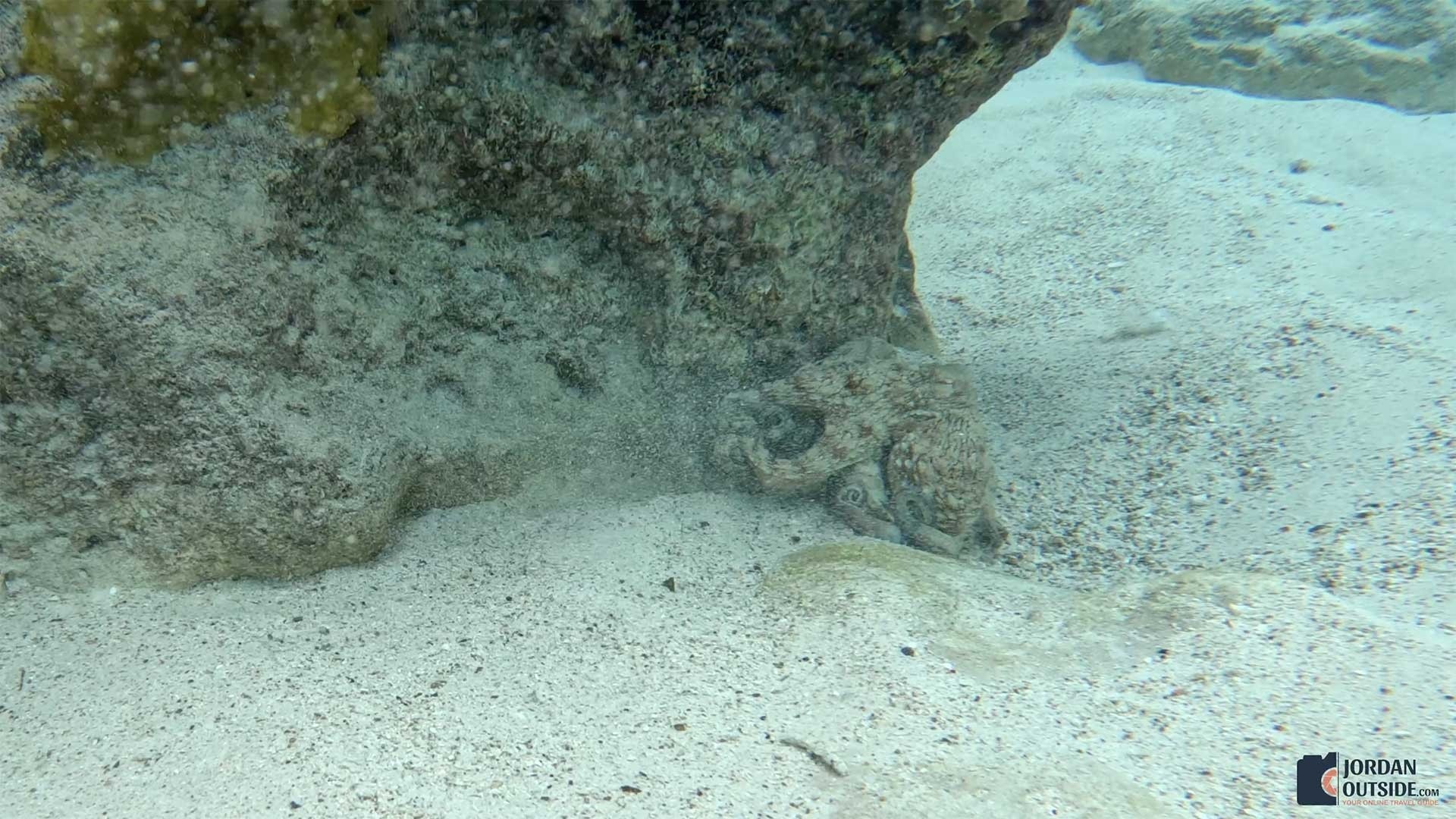 Kleine Knip Beach, Curacao