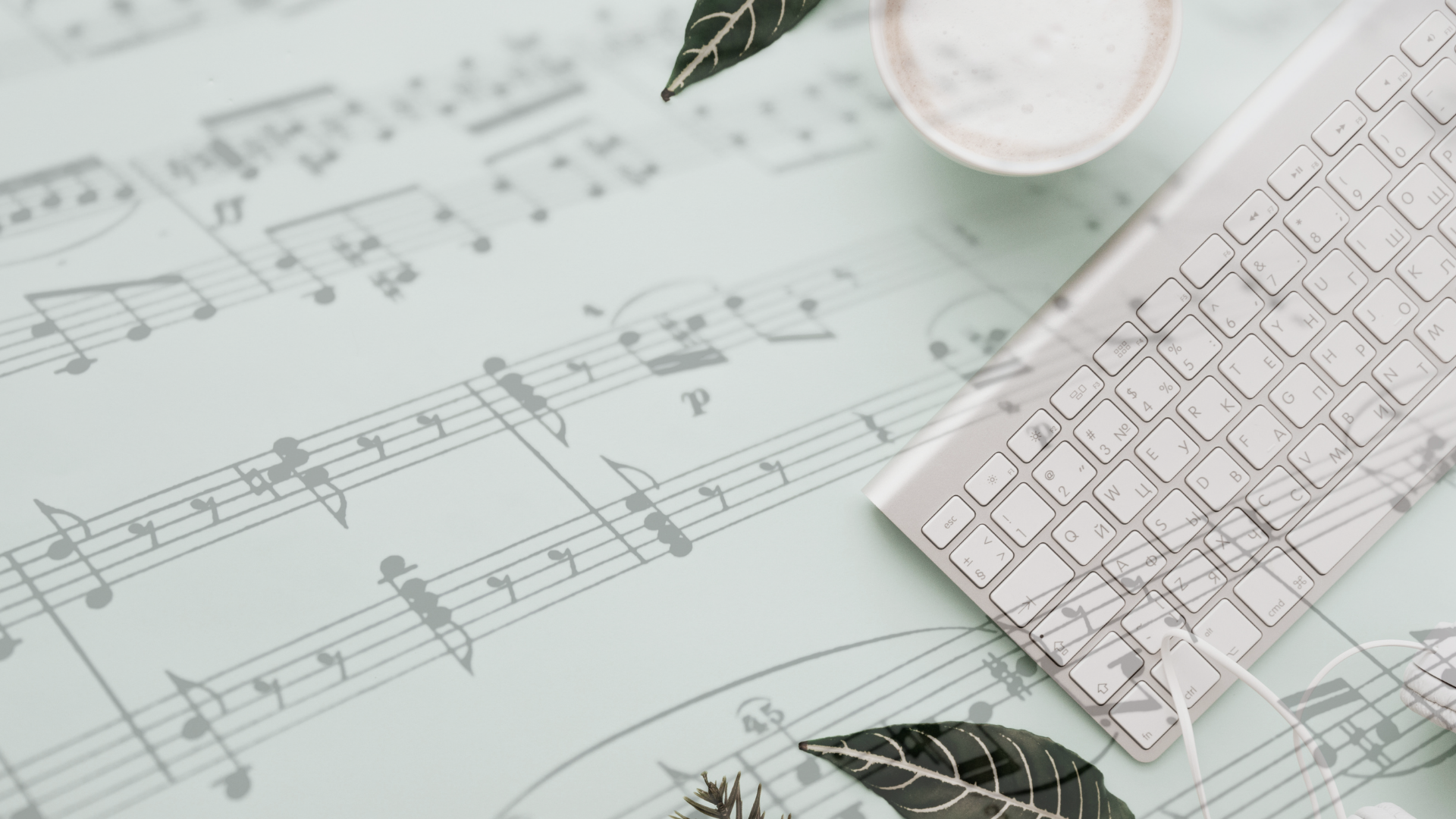 5 Areas of your Musical Life