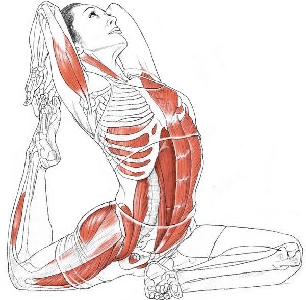 eka pada kapotasana