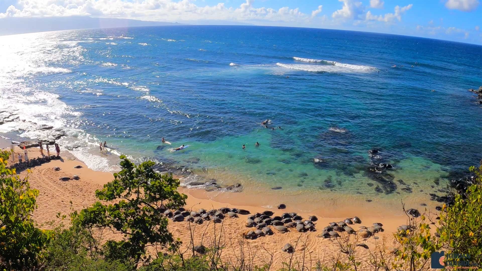 Ho'okipa Beach Park is the Best Place to See Turtles in northern Maui