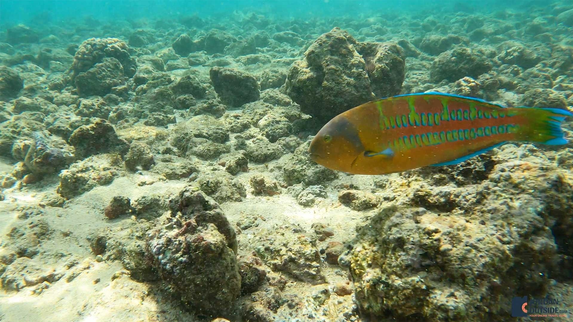 Poipu Beach, Kauai, Hawaii