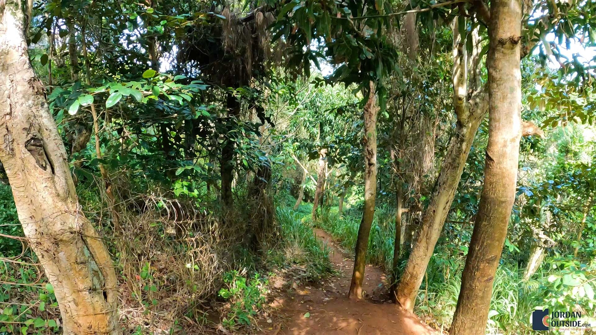 Secret Beach Trail, Kauai, Hawaii