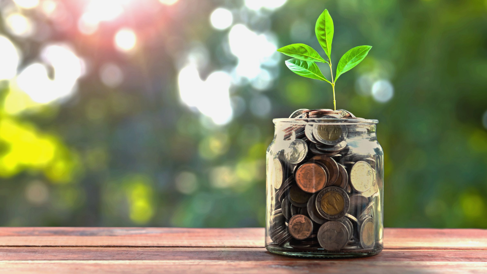 Plant growing from jar of money: Your Money or your life? Free training for doctors