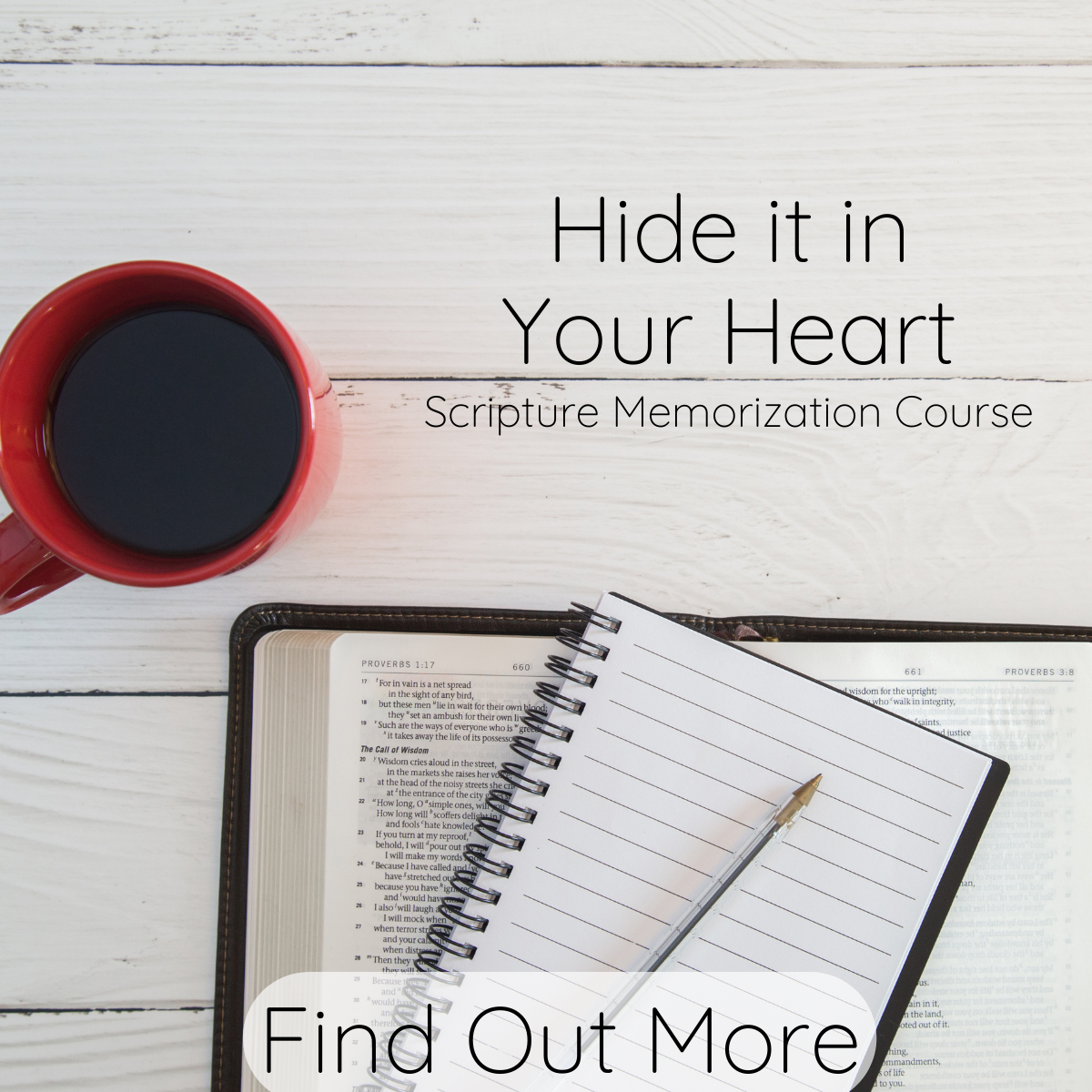 Bible Study Collective