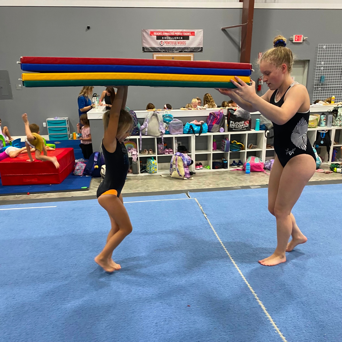 Peak Performance Gymnastics Camp by The Gymnastics Doc