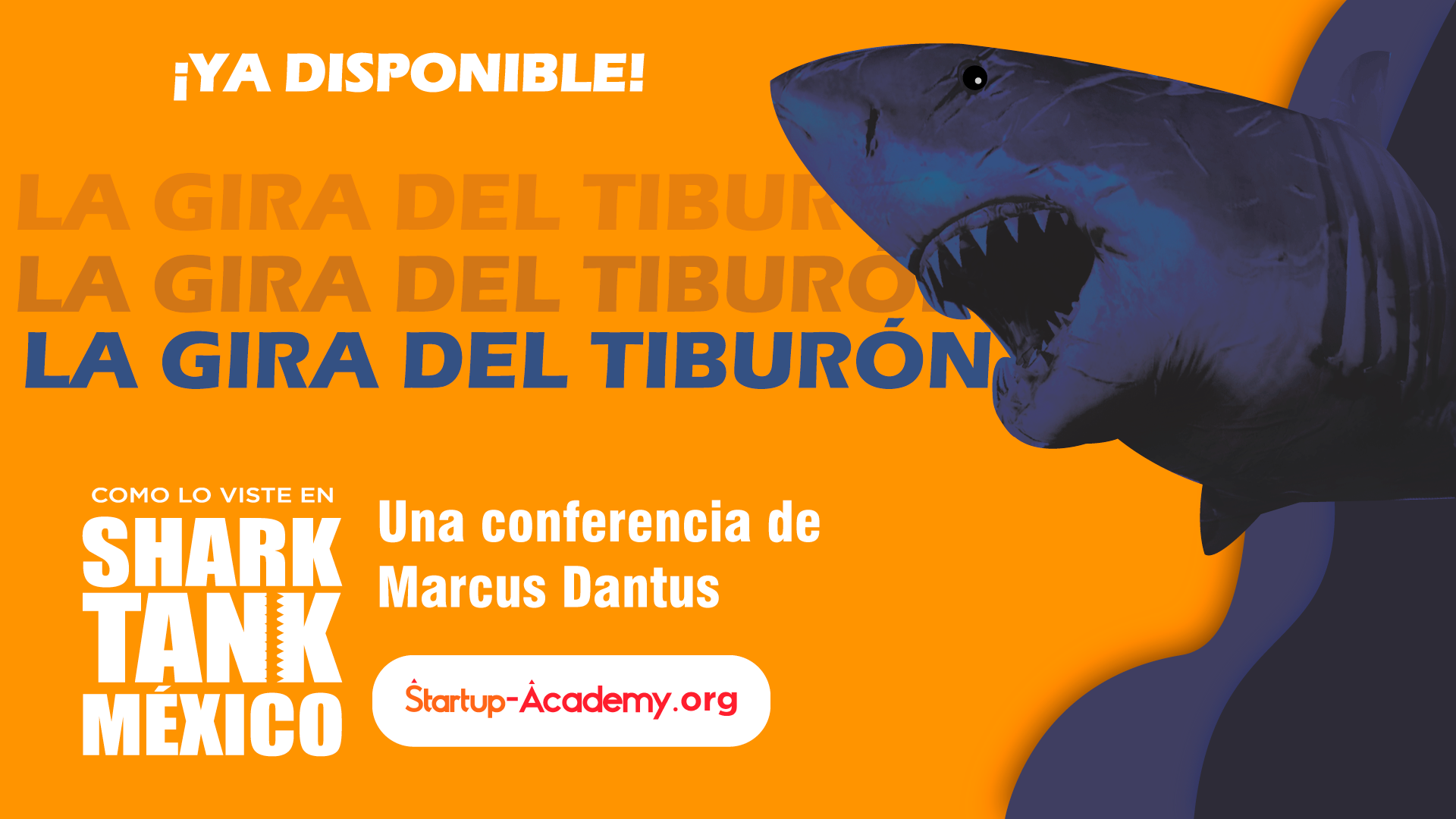 Sharktank, Gira del tiburon, Startup, Startup Academy