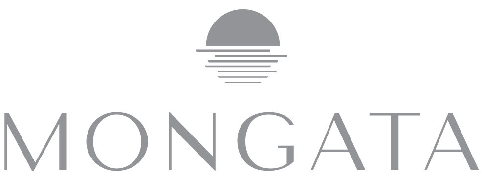 Footer Logo