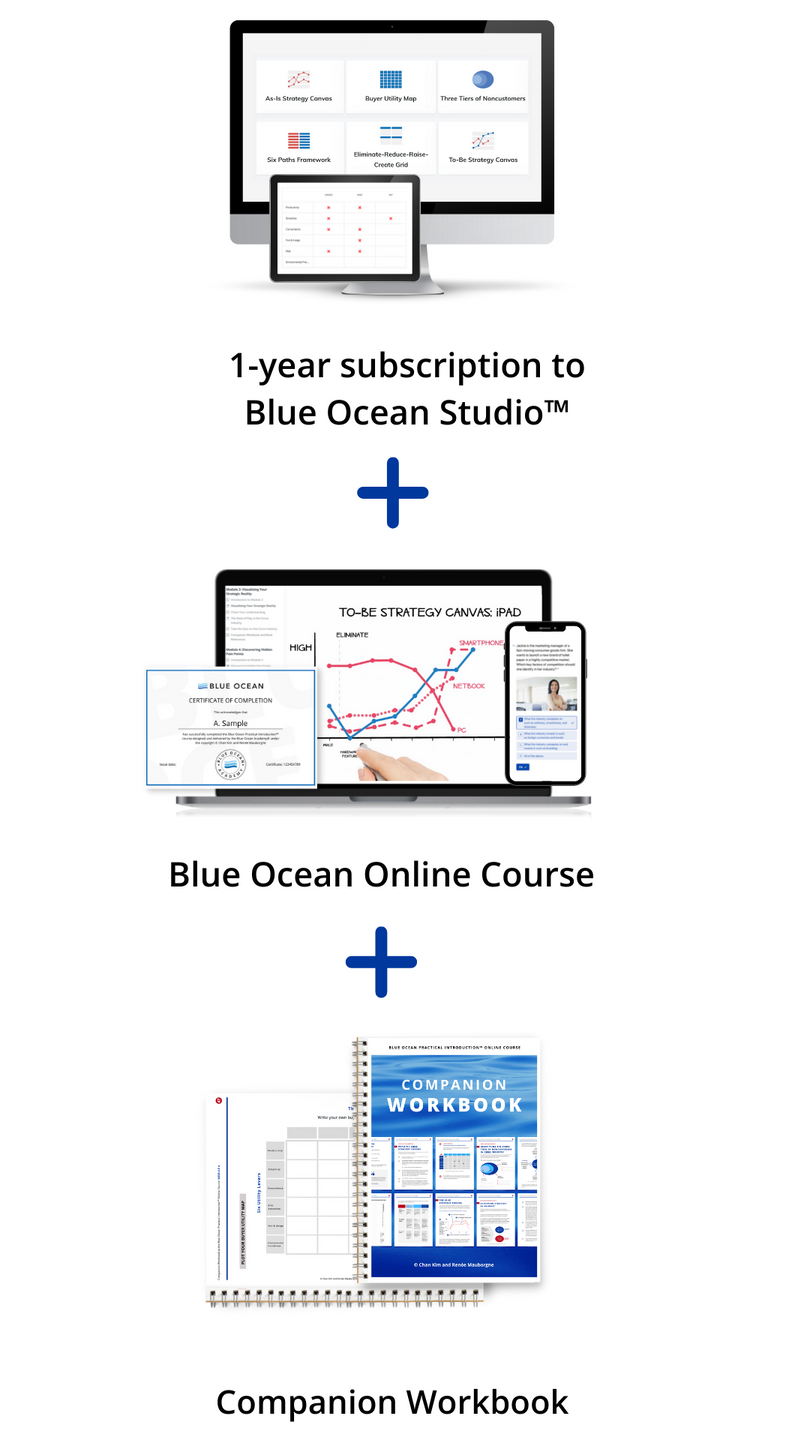 Blue Ocean Strategy Online Course