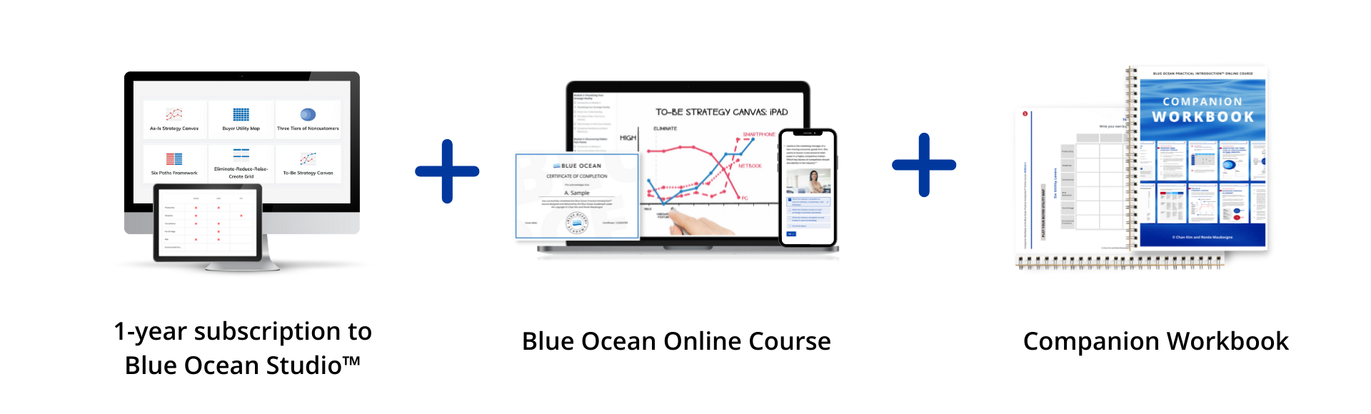Blue Ocean Strategy Online Course