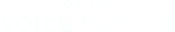 How the voice works