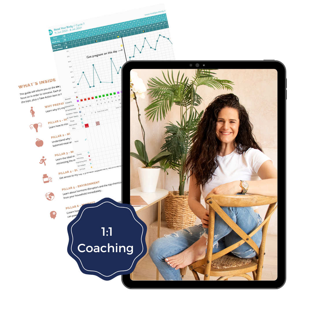 naturally nora - fertility coach, 1:1 coaching