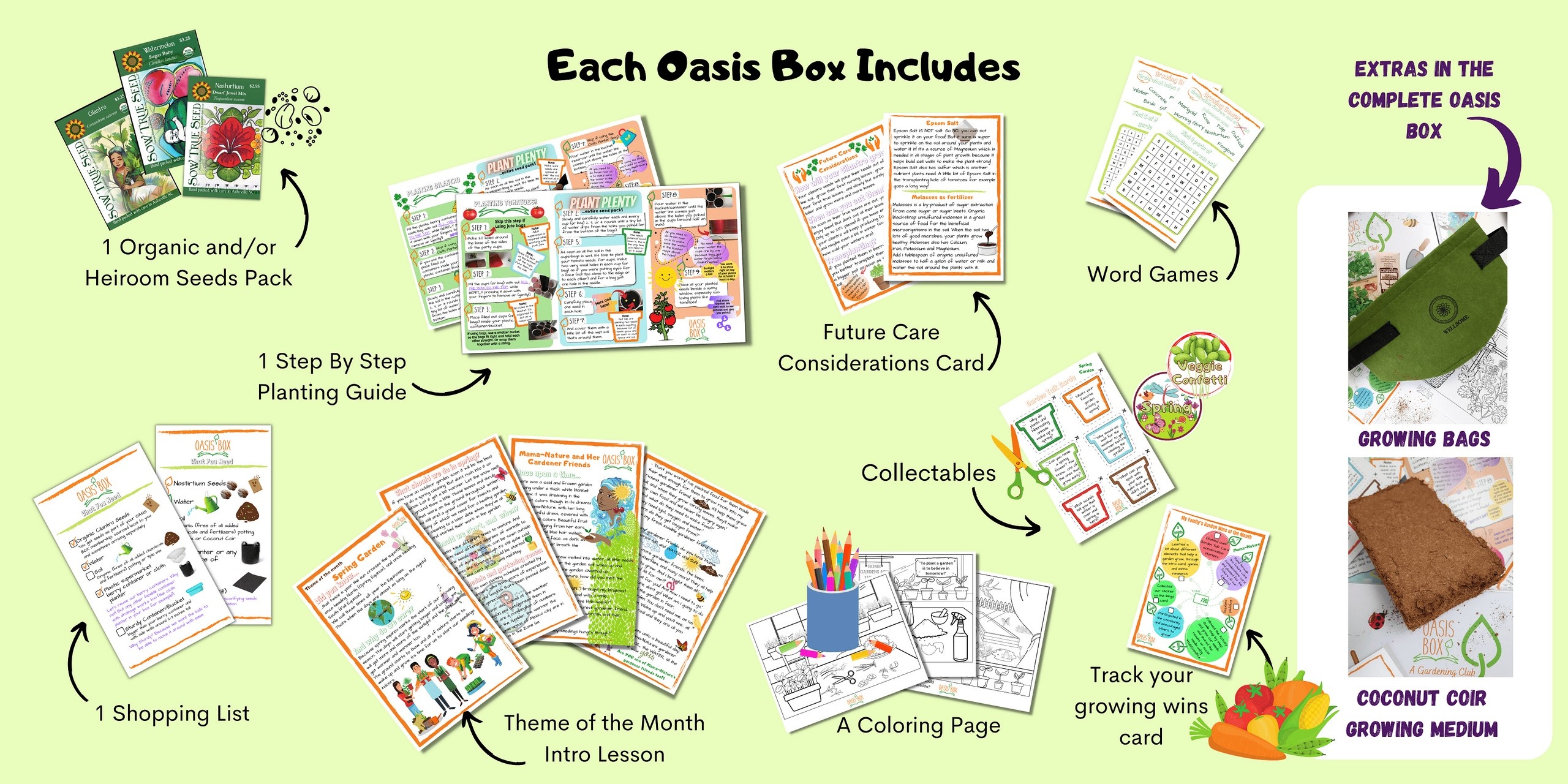 Oasis Box
