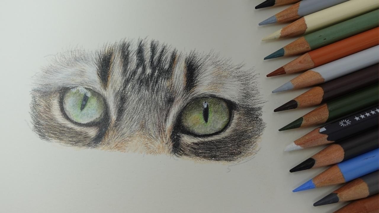 coloured pencil — Tutorials — Sharpened Artist