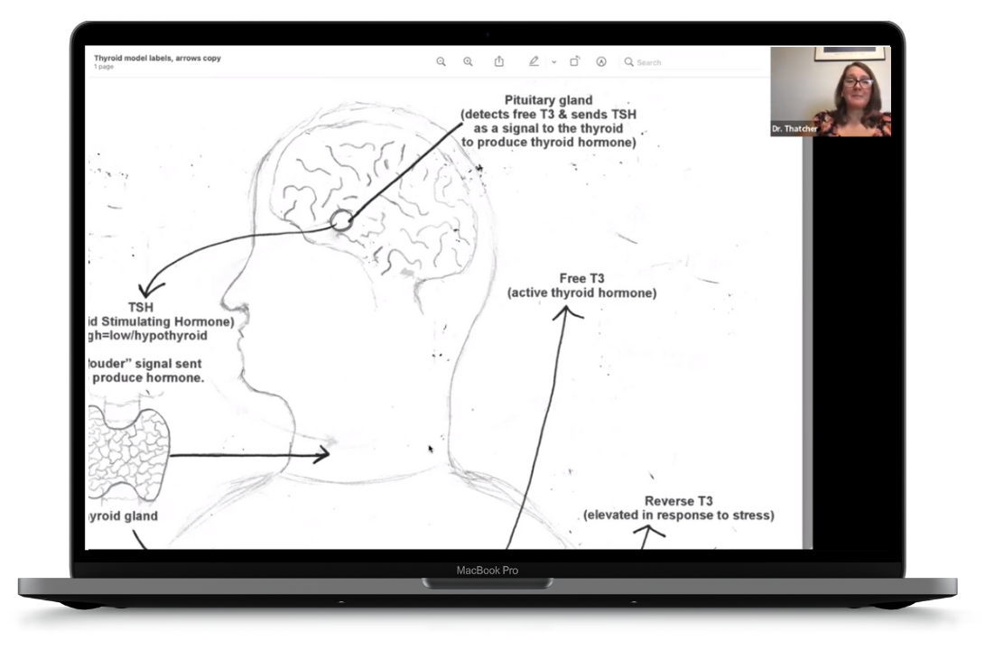 Bonus Training: How to Stick With Your Goals While Dining Out