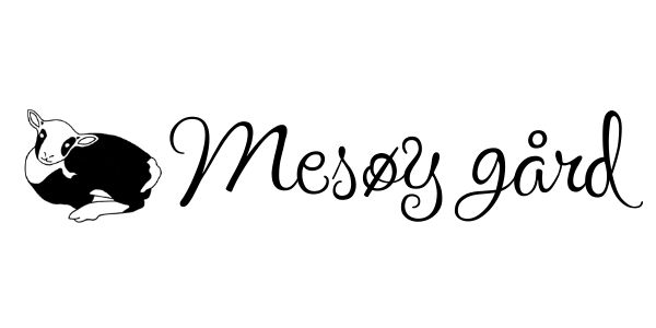 Footer Logo