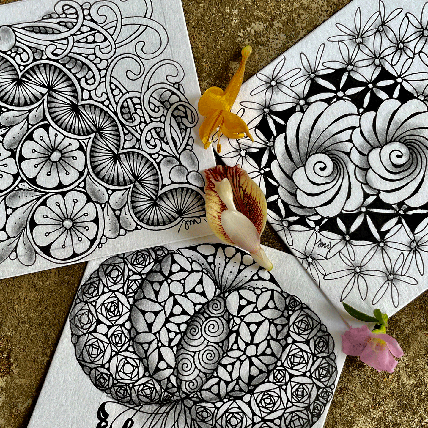 How to organize and store your Zentangle ® artwork - ArtsAmuse