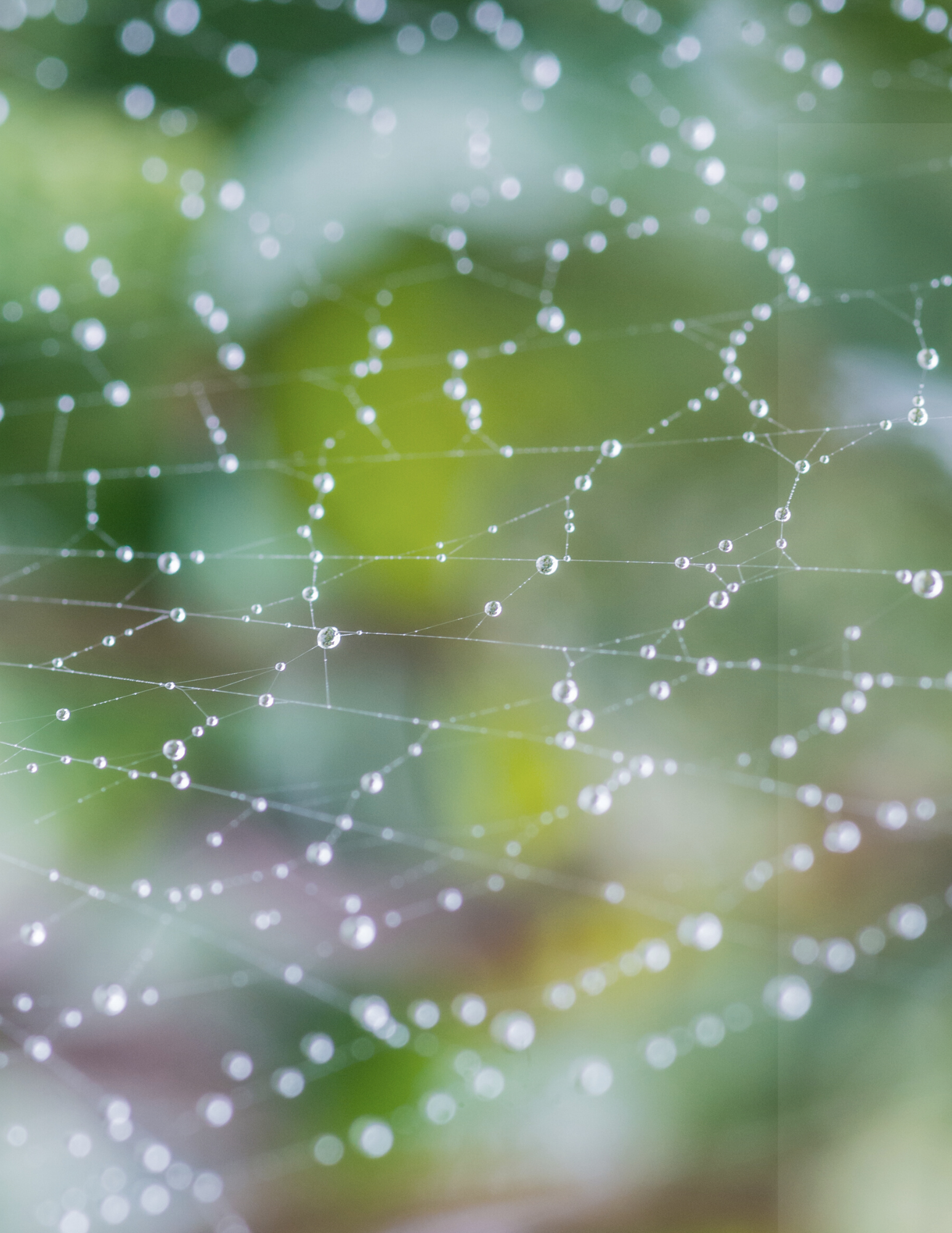 Expanding Your Growth Zone