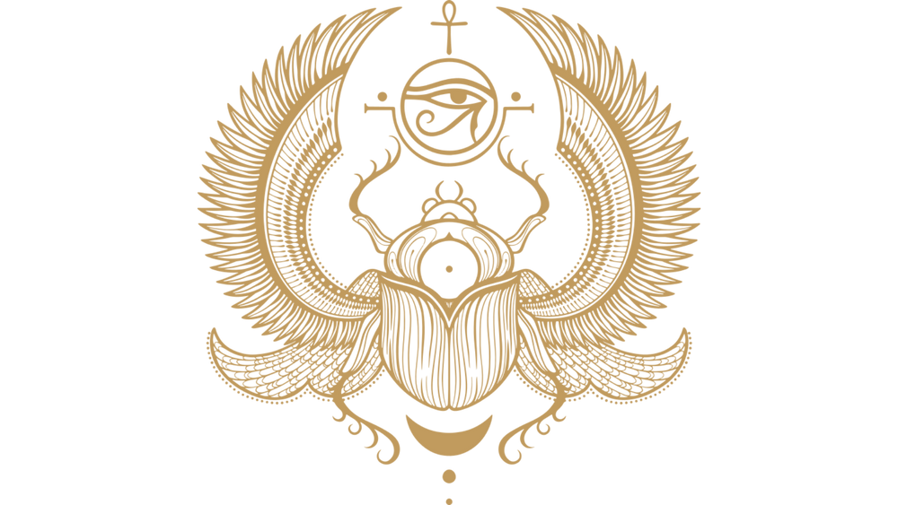 Header Logo