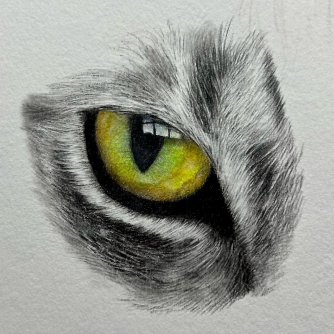 tutorial step by step, learn to draw a realistic eye with Pencils, I will  leave you a video link of the drawing process in the comments , Tools HP 3B  8B Pencils,