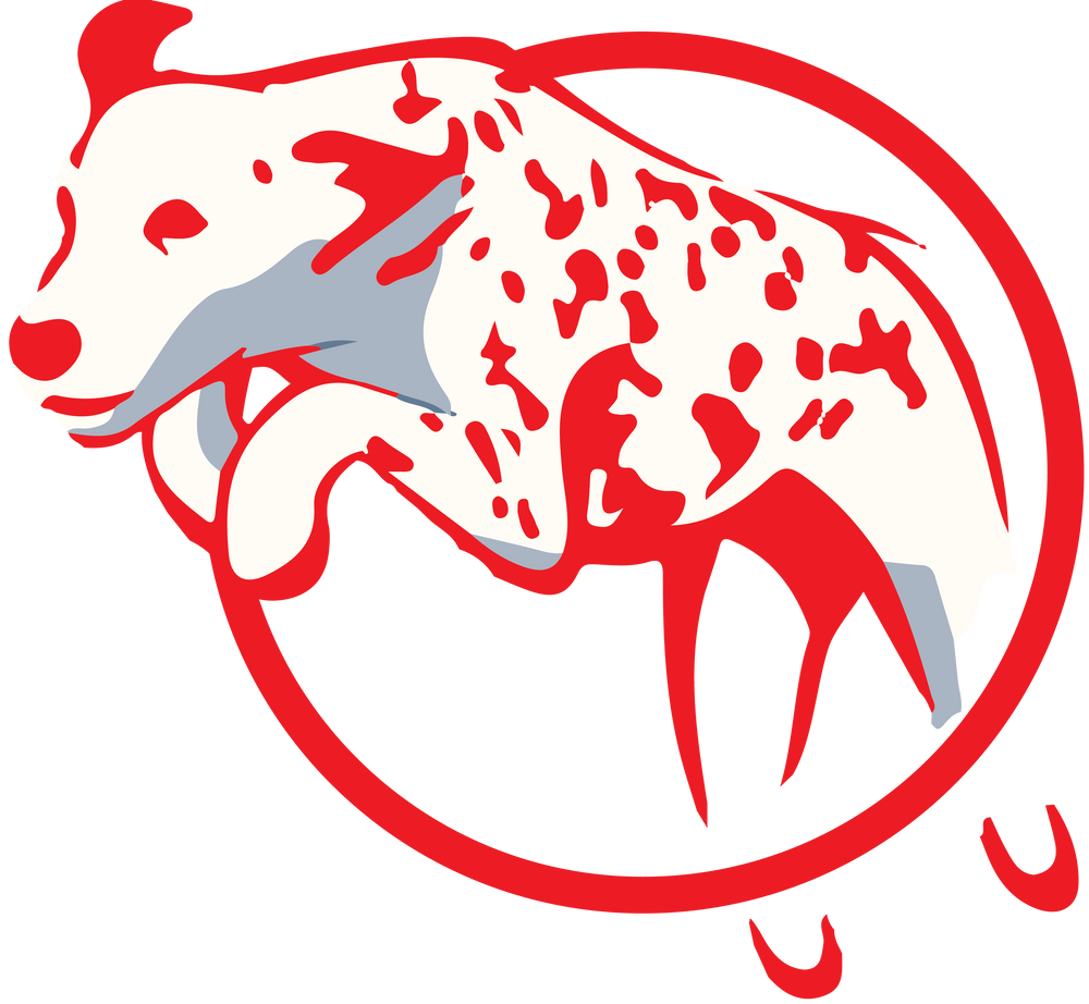 Footer Logo