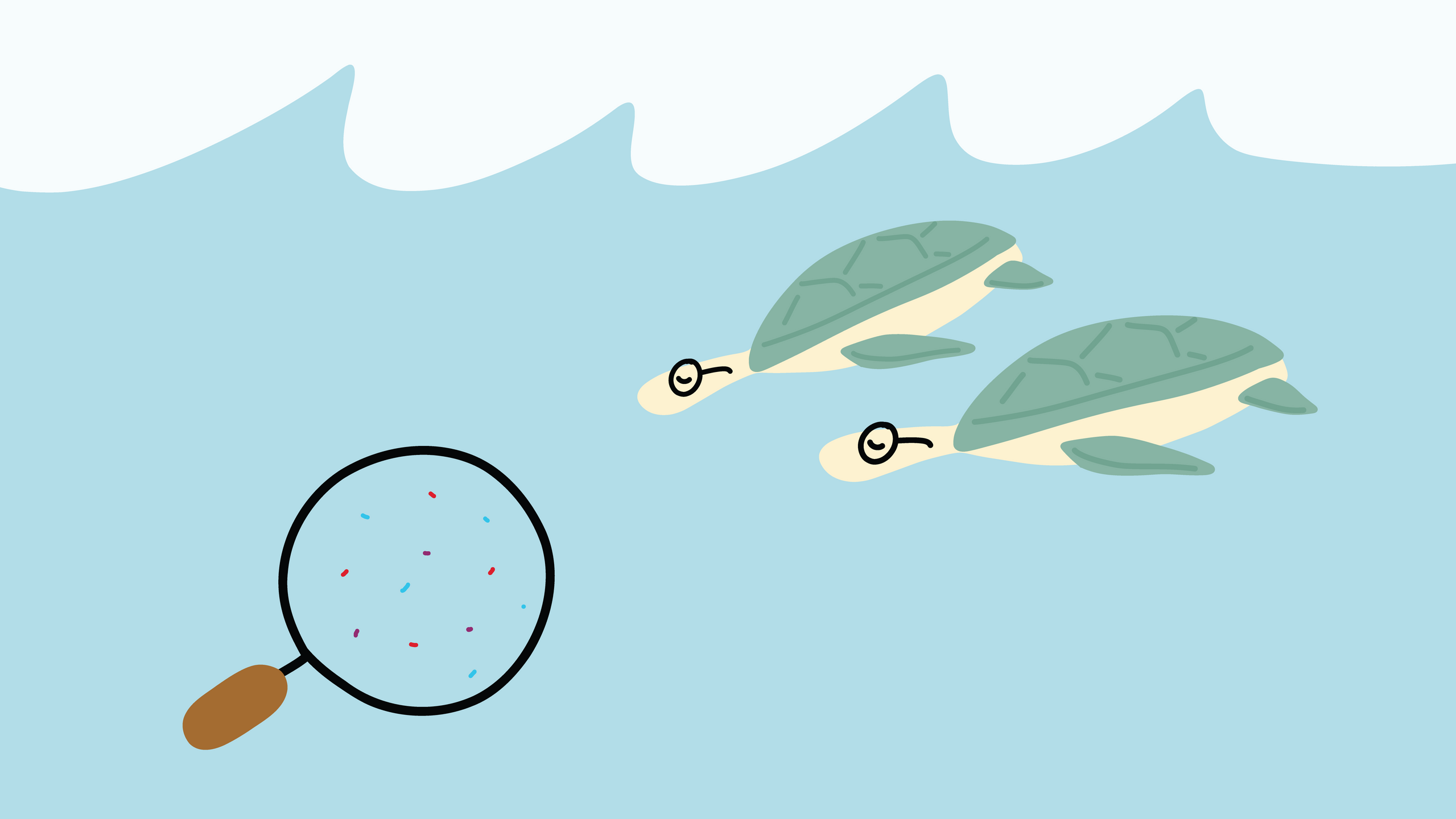 Two turtles wearing glasses swim towards a magnifying glass to look at different coloured pieces of microplastics.