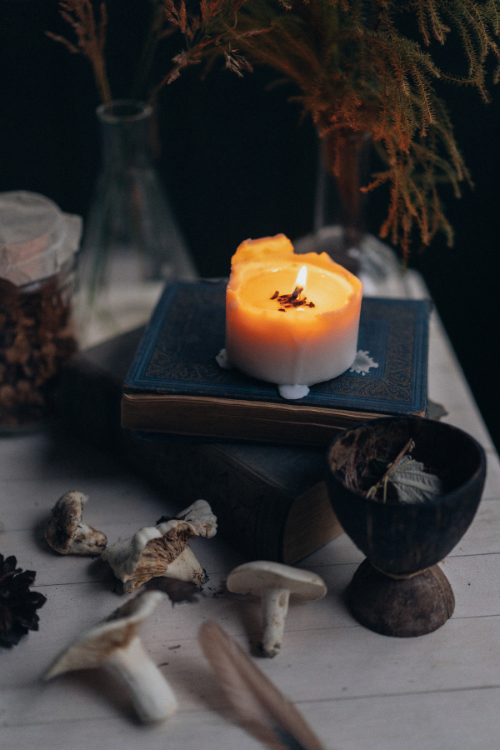 Vegan Kitchen Witch Academy Ongoing Registration