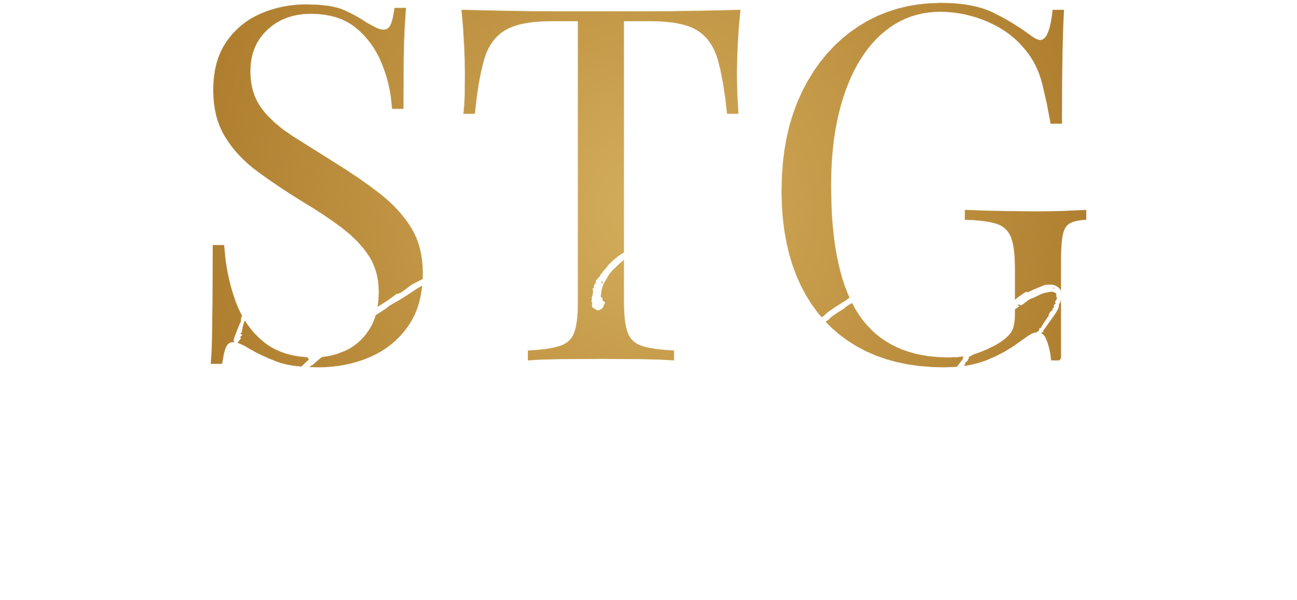 STG video vault