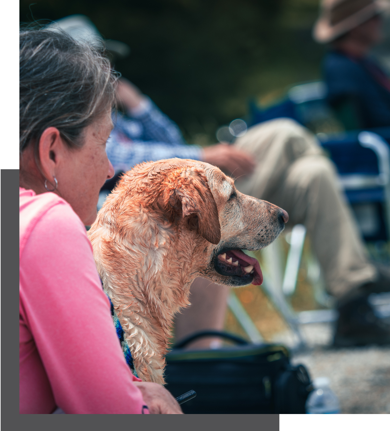  Field Trial Seminars, Hunt Test Seminars, Master Hunter Training