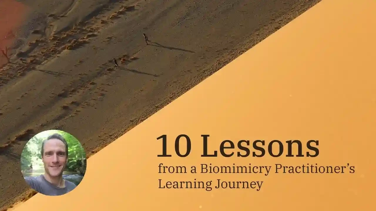 Biomimicry Practitioner Course Review