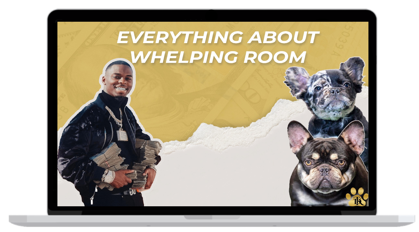 Top Dollar Kennels Course