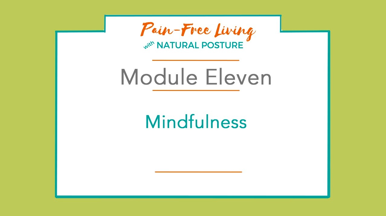 Natural Posture for Pain-Free Living, Book by Kathleen Porter, Official  Publisher Page