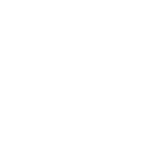 icon of chart presentation