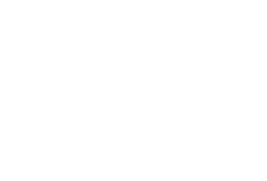 CINE Golden Eagle Award