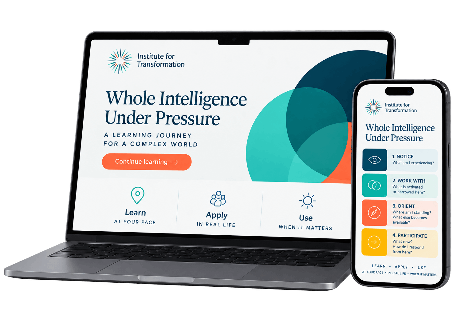 Whole Intelligence Under Pressure online program