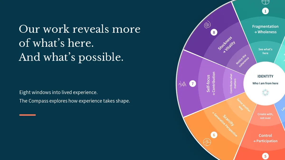 The Compass: eight windows into lived experience
